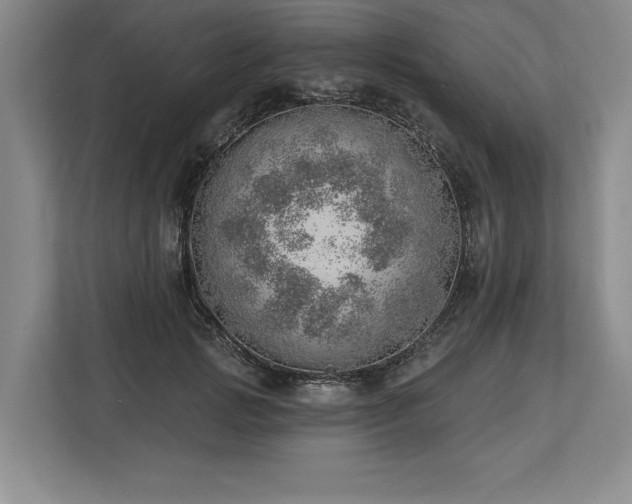 X0000113740749200909231152