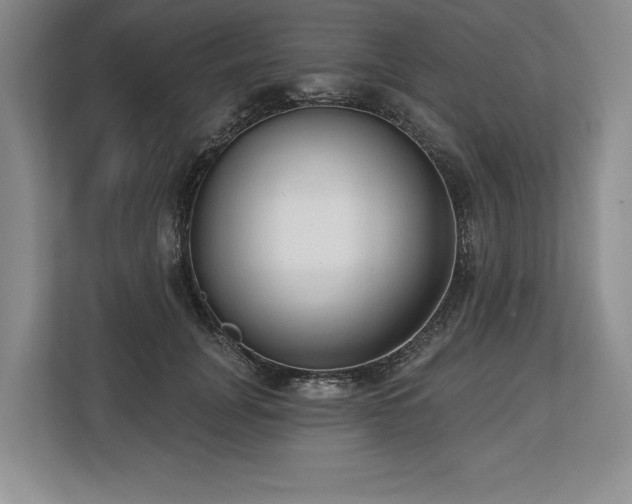 X0000113740751200909231152