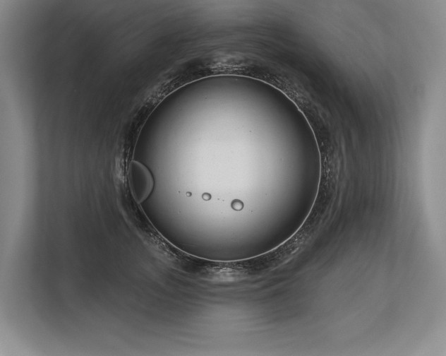 X0000113740755200909231152