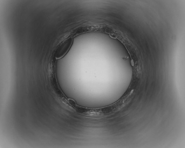 X0000113740756200909231152