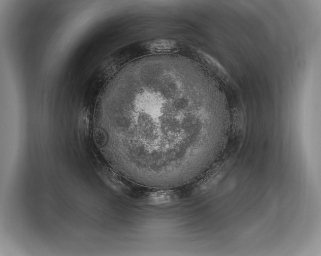 X0000113740761200909231152