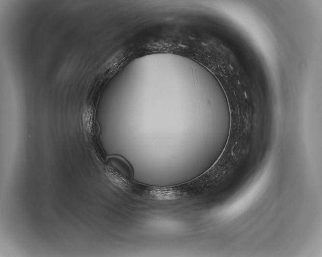 X0000113740767200909231152