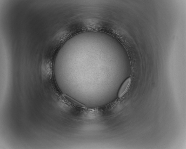 X0000113740768200909231152