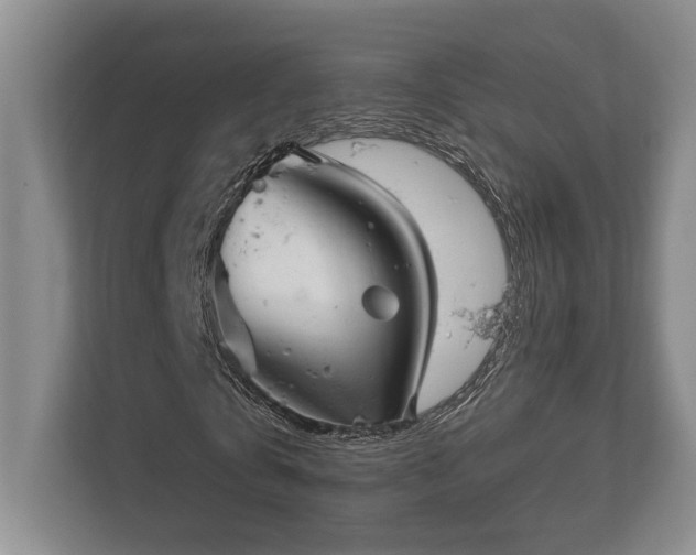 X0000113740769200909231152