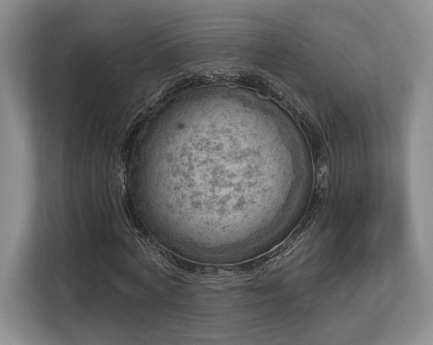 X0000113740772200909231152