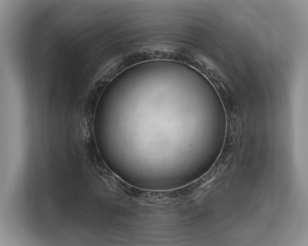 X0000113740774200909231152