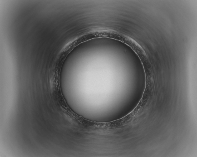 X0000113740775200909231152