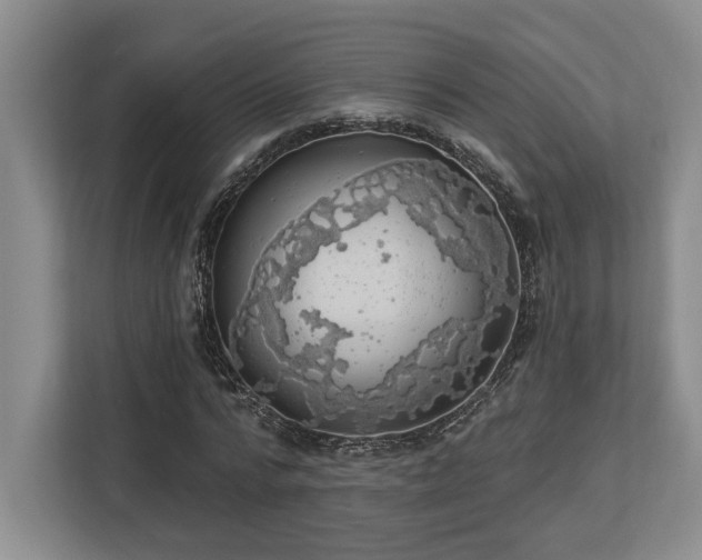 X0000113740776200909231152