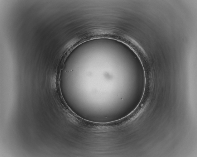 X0000113740777200909231151