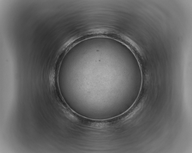 X0000113740778200909231151