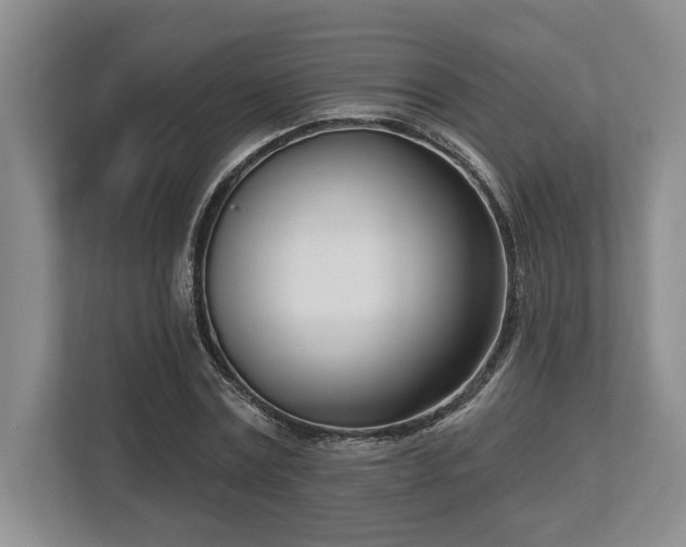 X0000113740779200909231151