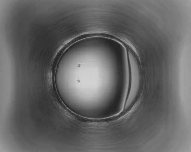 X0000113740781200909231151