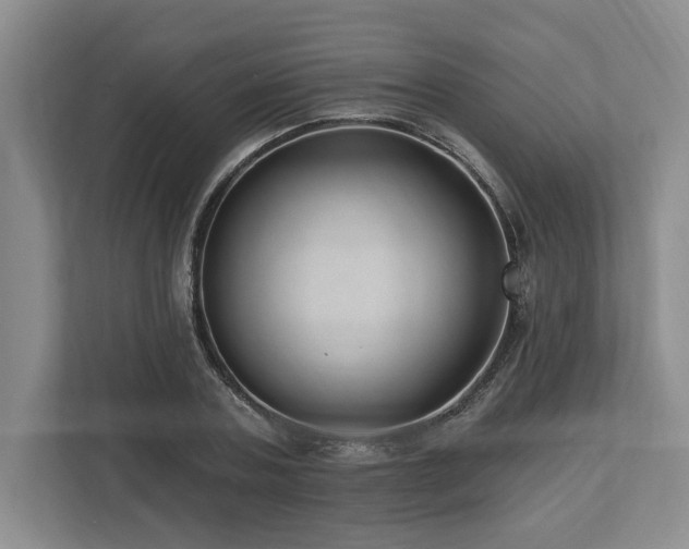 X0000113740787200909231151