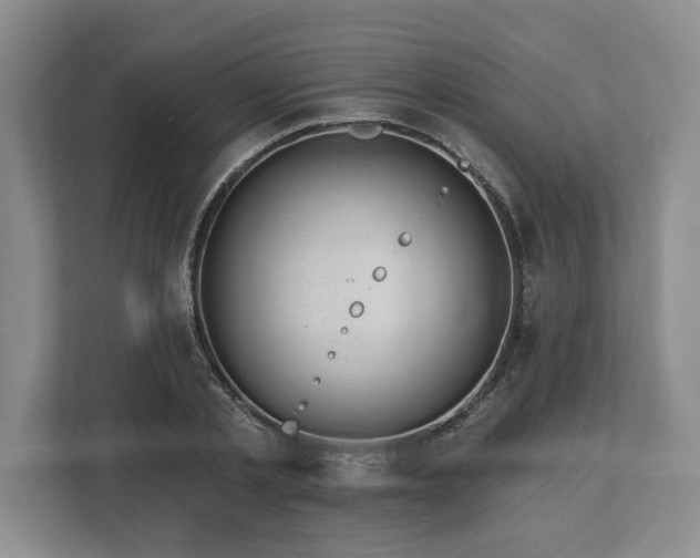 X0000113740789200909231151