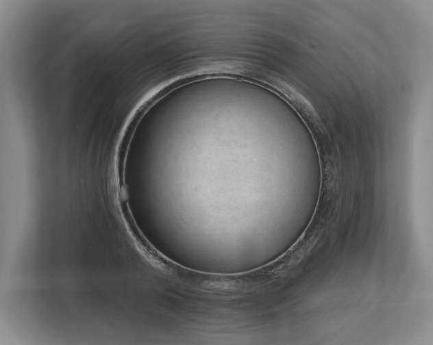 X0000113740792200909231151