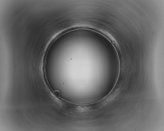 X0000113740799200909231151