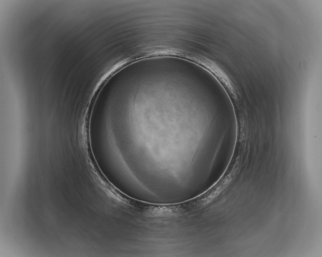 X0000113740806200909231151