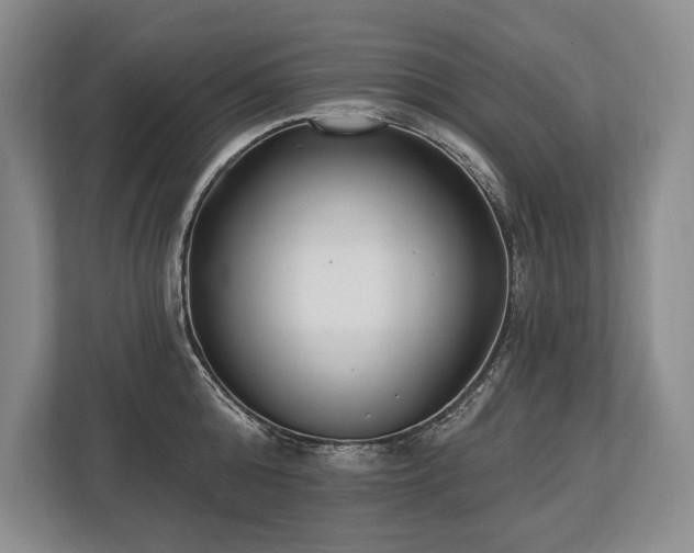 X0000113740808200909231151