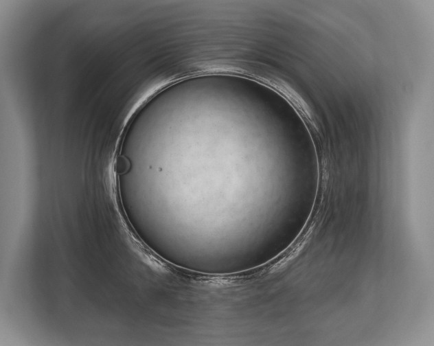 X0000113740814200909231151