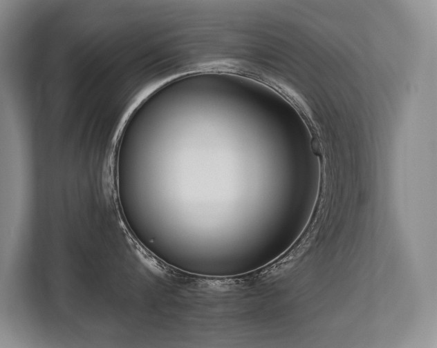 X0000113740816200909231151