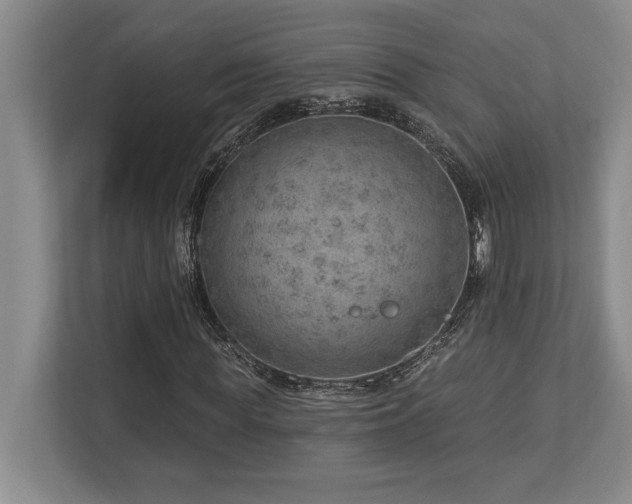 X0000113740819200909231150