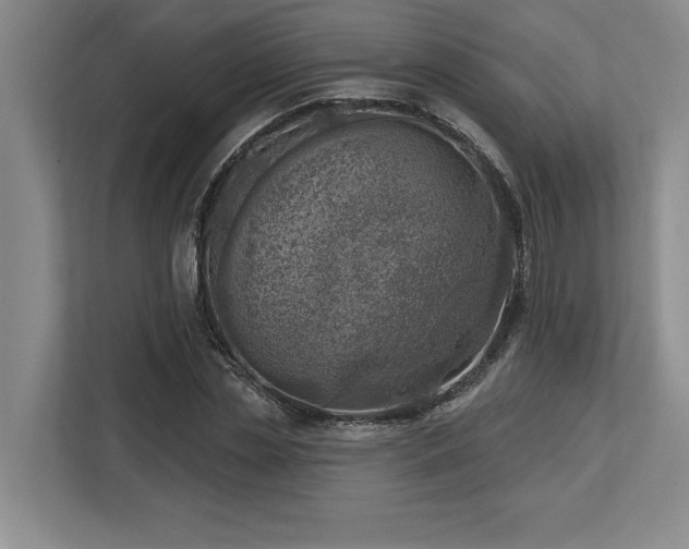 X0000113740829200909231151