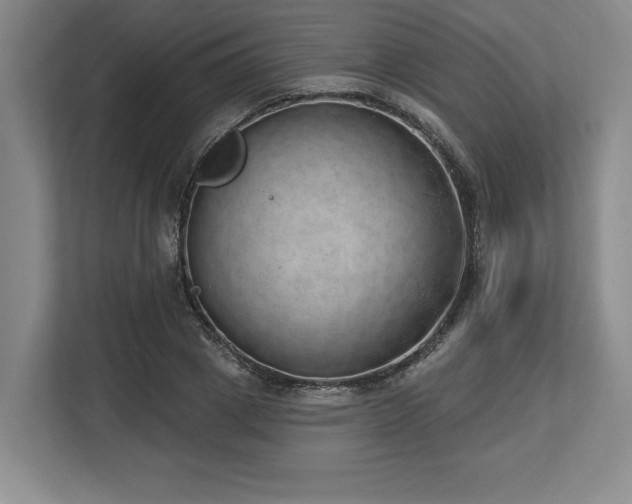 X0000113740833200909231151