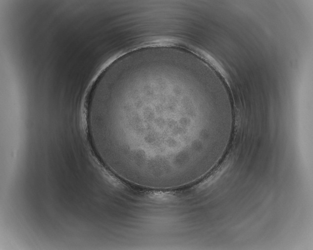 X0000113740835200909231151