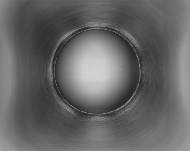 X0000113740840200909231151