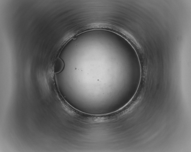 X0000113740841200909231151