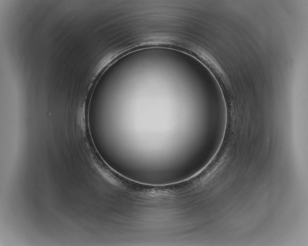 X0000113740842200909231151