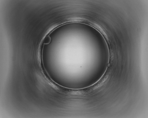 X0000113740843200909231151