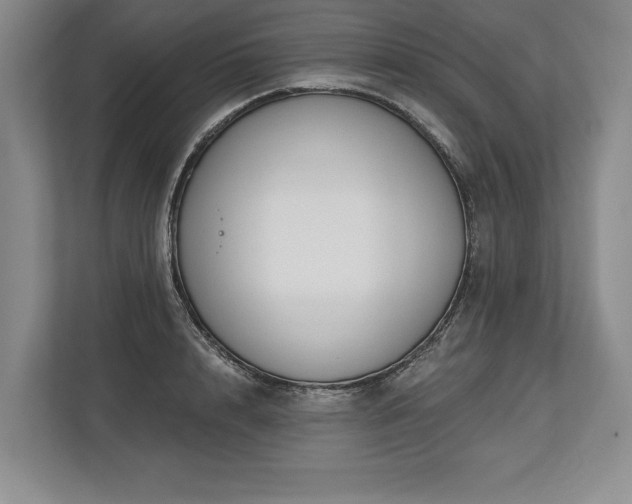 X0000113740848200909231151