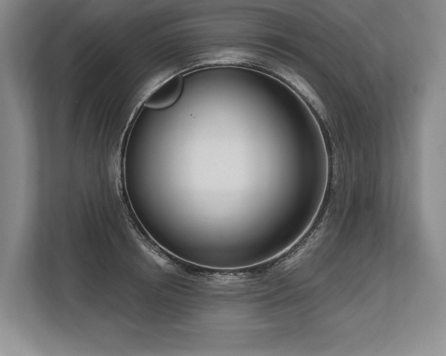 X0000113740850200909231151