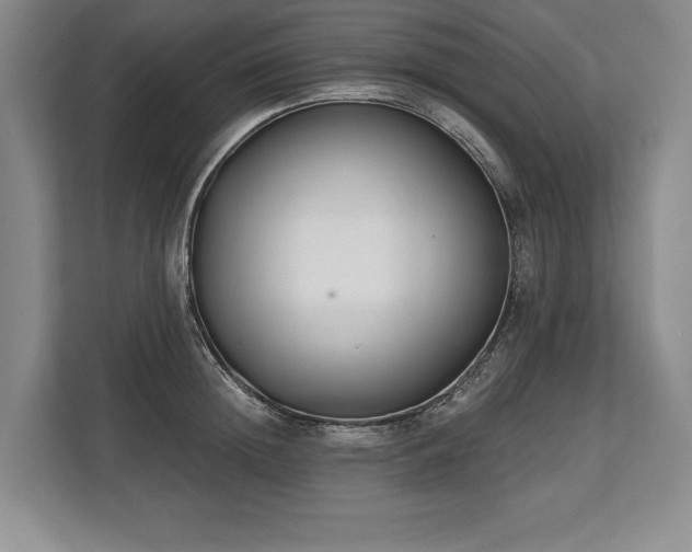 X0000113740852200909231151