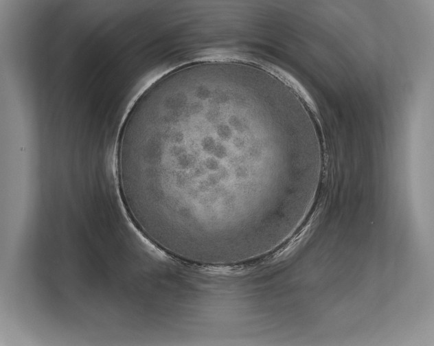 X0000113740855200909231151