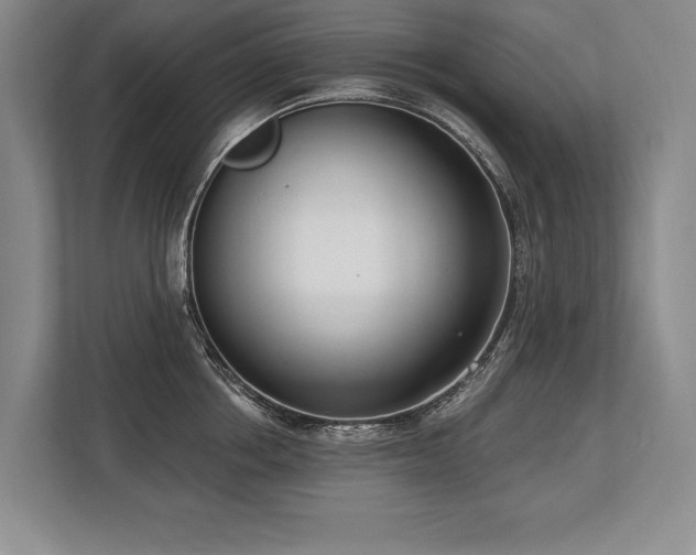 X0000113740858200909231151