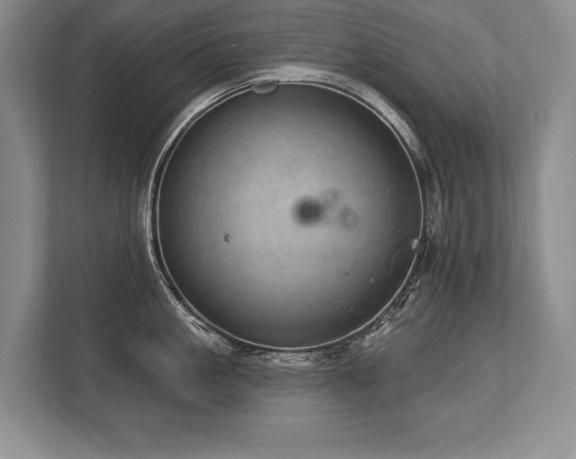 X0000113740861200909231151