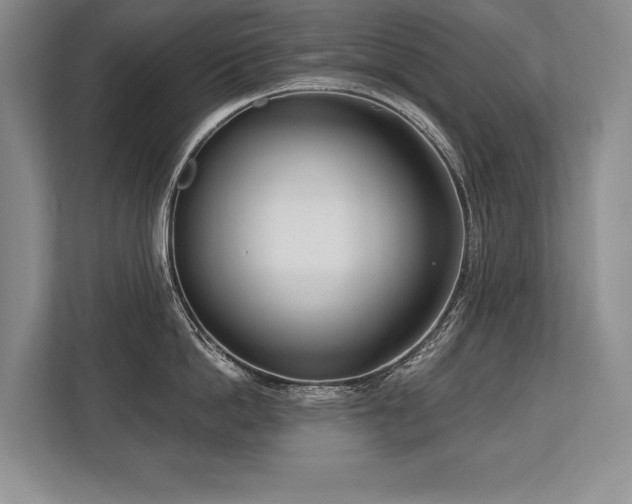 X0000113740862200909231151