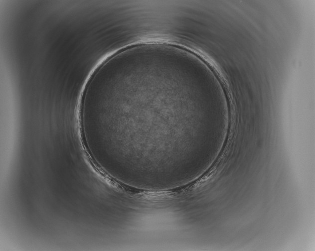 X0000113740864200909231151