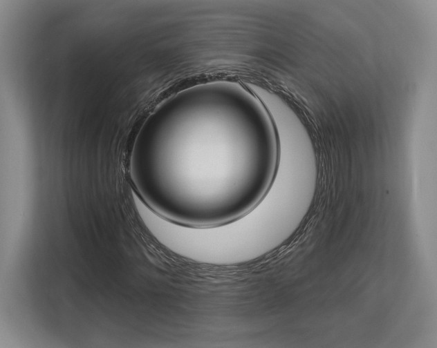 X0000113740868200909231150