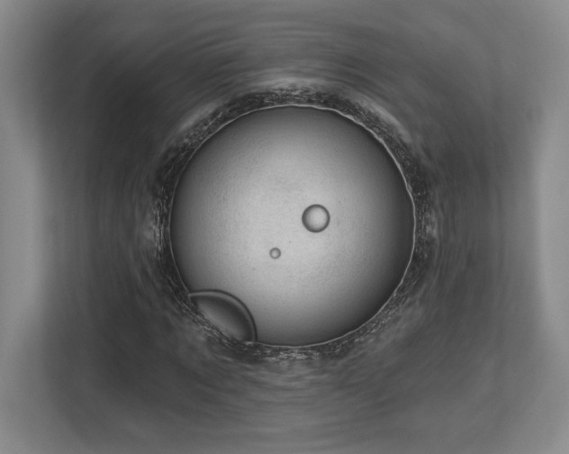 X0000113740869200909231150