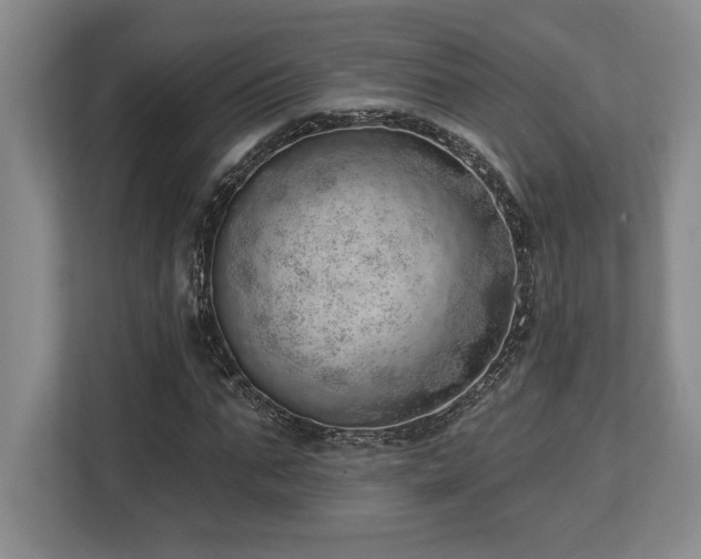 X0000113740871200909231150