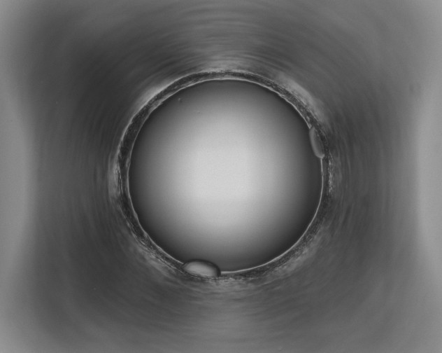 X0000113740876200909231150