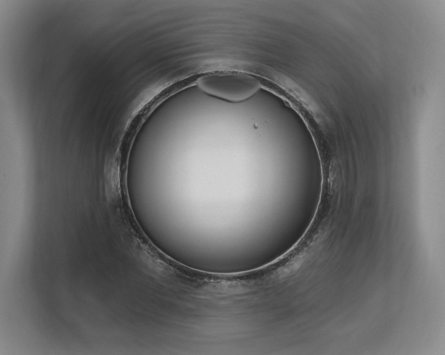 X0000113740877200909231150