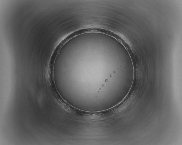 X0000113740879200909231150