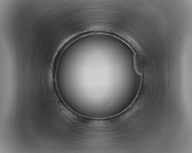 X0000113740880200909231150