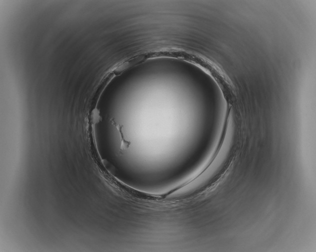 X0000113740881200909231150