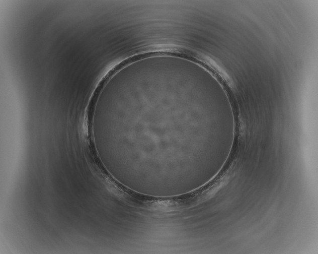 X0000113740883200909231150