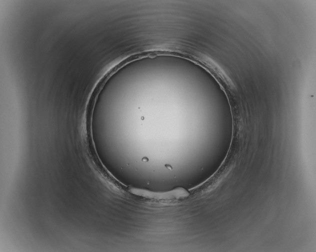 X0000113740884200909231150